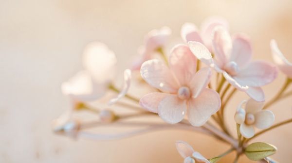 Accessoires floraux tendance : la broche fleur réinvente votre look